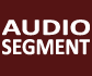 Audio Segment